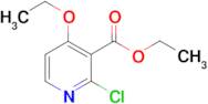 2-Chloro-4-ethoxy-nicotinic acid ethyl ester