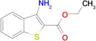 3-Amino-benzo[b]thiophene-2-carboxylic acid ethyl ester