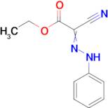 Cyano-(phenyl-hydrazono)-acetic acid ethyl ester