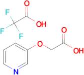 (Pyridin-3-yloxy)-acetic acid trifluoroacetic acid salt