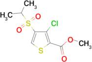 3-Chloro-4-(propane-2-sulfonyl)-thiophene-2-carboxylic acid methyl ester