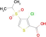 3-Chloro-4-(propane-2-sulfonyl)-thiophene-2-carboxylic acid