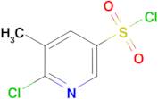 6-Chloro-5-methyl-pyridine-3-sulfonyl chloride