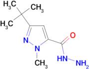 3-(tert-Butyl)-1-methyl-1H-pyrazole-5-carbohydrazide