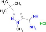 3-tert-Butyl-1-methyl-1H-pyrazole-5-carboxamidine hydrochloride