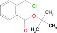 2-Chloromethyl-benzoic acid tert-butyl ester