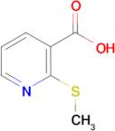 2-Methylsulfanyl-nicotinic acid