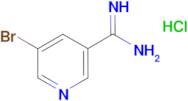 5-Bromo-nicotinamidine; hydrochloride