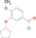 3-Cyclopentyloxy-4-methoxy-benzoyl chloride