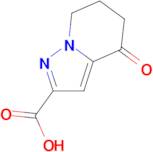 4-Oxo-4,5,6,7-tetrahydro-pyrazolo[1,5-a]pyridine-2-carboxylic acid