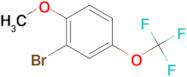 2-Bromo-1-methoxy-4-(trifluoromethoxy)benzene