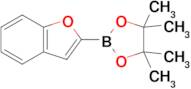 2-(Benzofuran-2-yl)-4,4,5,5-tetramethyl-1,3,2-dioxaborolane