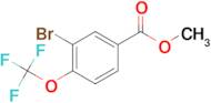 Methyl 3-bromo-4-(trifluoromethoxy)benzoate