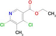 Ethyl 4,6-dichloro-5-methylnicotinate