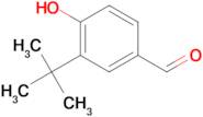 3-(tert-Butyl)-4-hydroxybenzaldehyde