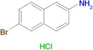 6-Bromonaphthalen-2-amine hydrochloride