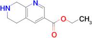 Ethyl 5,6,7,8-tetrahydro-1,7-naphthyridine-3-carboxylate