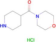 Morpholino(piperidin-4-yl)methanone hydrochloride