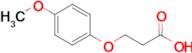 3-(4-Methoxyphenoxy)propanoic acid