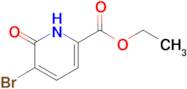 Ethyl 5-bromo-6-hydroxypicolinate