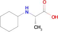 (S)-2-(Cyclohexylamino)propanoic acid