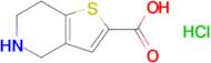 4,5,6,7-Tetrahydrothieno[3,2-c]pyridine-2-carboxylic acid hydrochloride