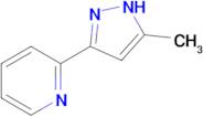 2-(5-Methyl-1H-pyrazol-3-yl)pyridine