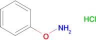 O-Phenylhydroxylamine hydrochloride