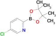 5-Chloro-2-(4,4,5,5-tetramethyl-1,3,2-dioxaborolan-2-yl)pyridine