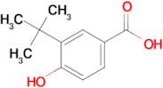 3-(tert-Butyl)-4-hydroxybenzoic acid