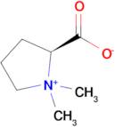 (S)-1,1-Dimethylpyrrolidin-1-ium-2-carboxylate