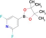 2,6-Difluoro-4-(4,4,5,5-tetramethyl-1,3,2-dioxaborolan-2-yl)pyridine