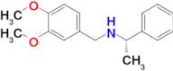 (S)-N-(3,4-Dimethoxybenzyl)-1-phenylethanamine