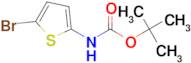 Tert-Butyl (5-bromothiophen-2-yl)carbamate