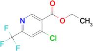 Ethyl 4-chloro-6-(trifluoromethyl)nicotinate