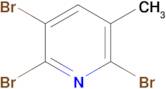 2,3,6-Tribromo-5-methylpyridine