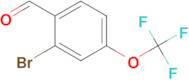 2-Bromo-4-(trifluoromethoxy)benzaldehyde