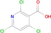 2,4,6-Trichloronicotinic acid