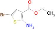 Ethyl 2-amino-5-bromothiophene-3-carboxylate