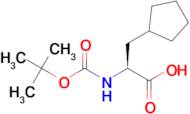 (S)-2-((tert-Butoxycarbonyl)amino)-3-cyclopentylpropanoic acid