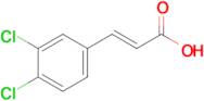 (E)-3-(3,4-Dichlorophenyl)acrylic acid