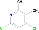 4,6-Dichloro-2,3-dimethylpyridine