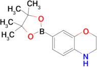 7-(4,4,5,5-Tetramethyl-1,3,2-dioxaborolan-2-yl)-3,4-dihydro-2H-benzo[b][1,4]oxazine