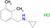 N-(2,3-Dimethylbenzyl)cyclopropanamine hydrochloride