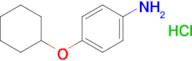4-(Cyclohexyloxy)aniline hydrochloride