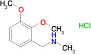 1-(2,3-Dimethoxyphenyl)-N-methylmethanamine hydrochloride