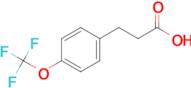 3-[4-(Trifluoromethoxy)phenyl]propionic acid