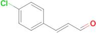 (E)-3-(4-Chlorophenyl)acrylaldehyde