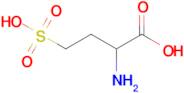 2-Amino-4-sulfobutanoic acid