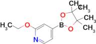 2-Ethoxy-4-(4,4,5,5-tetramethyl-1,3,2-dioxaborolan-2-yl)pyridine